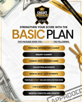 BASIC PLAN