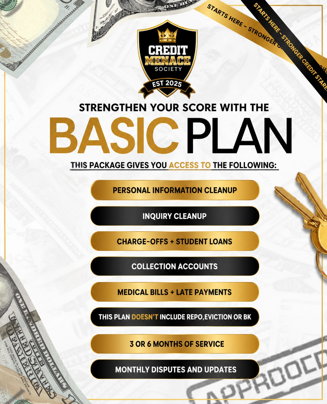 BASIC PLAN